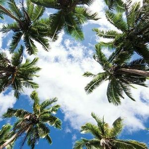 Meet your Posher, Ana